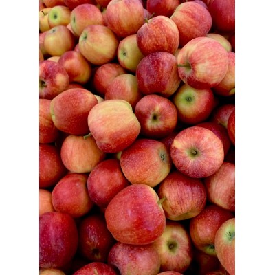 White Nectarine, 1 ct