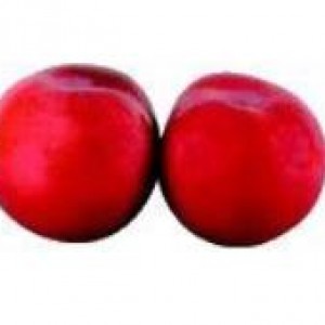 Red Plum- Large