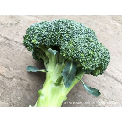 Broccoli Bunch