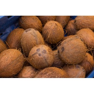 Coconut 1 ct