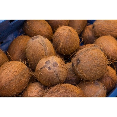 Coconut 1 ct