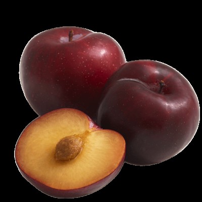 Tree Ripened Plum- Large