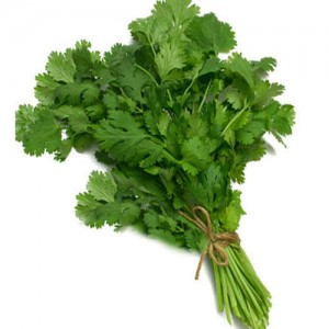 Broccoli Rabe