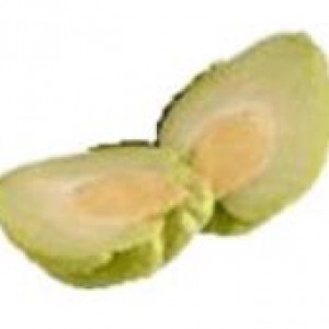 Fresh Chayote