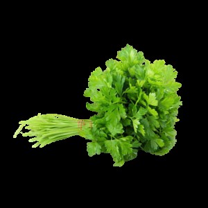 Fresh Cilantro, 1 bunch