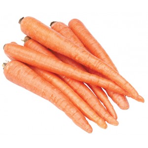 Fresh Carrots