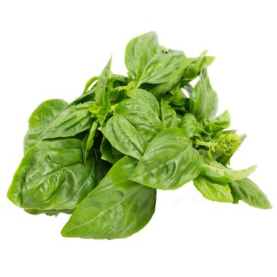 Basil - Fresh One Bunch