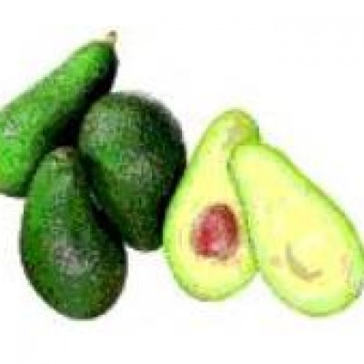 Hass Avocado